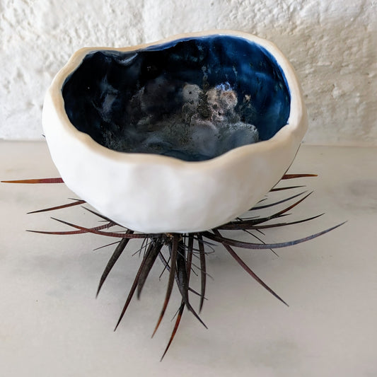 Urchin - Porcelain and Blue Ash