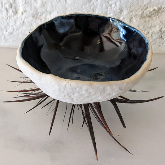 Urchin - Pocked Porcelain and Blue Green