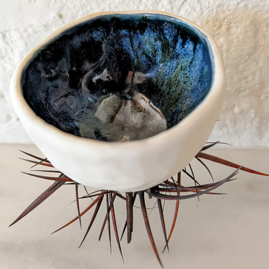 Urchin - Porcelain and Blue Green